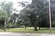 7335 Oakwood Unit 4F, Lyons, IL 60534