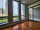 1250 S Michigan Unit 703, Chicago, IL 60605