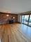 1988 Green Bay Unit 3, Highland Park, IL 60035