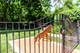 7N230 Sims, St. Charles, IL 60175