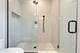 2218 W Oakdale, Chicago, IL 60618