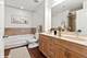 1250 S Michigan Unit 1701, Chicago, IL 60605