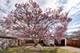 1318 N Prairie, Joliet, IL 60435