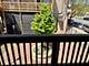 1946 N Kedzie, Chicago, IL 60647