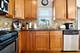 3638 N Odell, Chicago, IL 60634