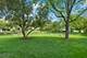 78 Holmes Unit W1, Schaumburg, IL 60193