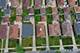1525 Forest, La Grange Park, IL 60526