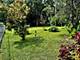 612 N Lincoln, Villa Park, IL 60181