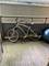 1356 W Barry Unit 1E, Chicago, IL 60657