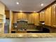 6162 Knollwood Unit 202, Willowbrook, IL 60527