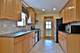 7931 W Metropole, Elmwood Park, IL 60707