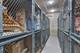 2941 S Michigan Unit 305, Chicago, IL 60616