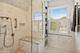 235 S Grove, Oak Park, IL 60302