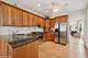 235 S Grove, Oak Park, IL 60302