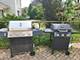 719 Radnor, Roselle, IL 60172