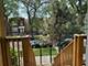 4442 W Thomas Unit 2, Chicago, IL 60651