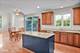 13311 Morning Mist, Plainfield, IL 60585