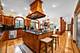 14695 Fox Hollow, Lemont, IL 60439