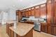 5010 W Lawrence Unit 3B, Chicago, IL 60630
