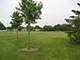 329 Pembroke Unit 5, Schaumburg, IL 60193