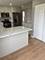 1005 E Olde Virginia, Palatine, IL 60074