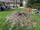2619 Alexander, Homewood, IL 60430