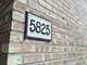 5825 Oakwood Unit D, Lisle, IL 60532