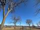 903 Jarvis, Des Plaines, IL 60018