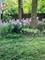 14723 Kildare, Midlothian, IL 60445