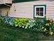 14723 Kildare, Midlothian, IL 60445