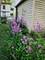 14723 Kildare, Midlothian, IL 60445
