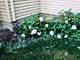 14723 Kildare, Midlothian, IL 60445