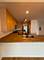 1515 S Prairie Unit 617, Chicago, IL 60605