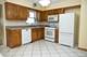 8226 Kenton, Skokie, IL 60076