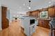 342 Dilorenzo, Naperville, IL 60565