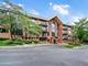 3525 Cass Unit 513, Oak Brook, IL 60523
