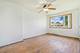17 Michael, Park Forest, IL 60466