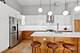 2511 W Moffat Unit 501, Chicago, IL 60647
