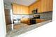 1749 N Wells Unit 1101, Chicago, IL 60614