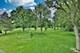 105 Haman, Inverness, IL 60067