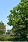 3334 W Warren, Chicago, IL 60624