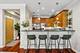 1411 W Chicago Unit 2, Chicago, IL 60642