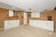 3 Wescott, Bolingbrook, IL 60440