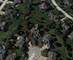 10652 Lexington, Frankfort, IL 60423