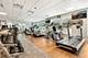 57 E Delaware Unit 2901, Chicago, IL 60611