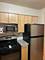 214 S Oak Park Unit 2, Oak Park, IL 60302