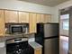 214 S Oak Park Unit 2, Oak Park, IL 60302