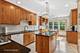 19 Burning Tree, Deerfield, IL 60015