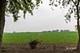 423 N Pine, Waterman, IL 60556