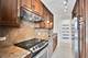 4170 N Marine Unit 11L, Chicago, IL 60613